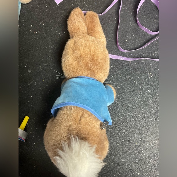 Peter rabbit music box plushy EDEN plushie - Picture 3 of 4